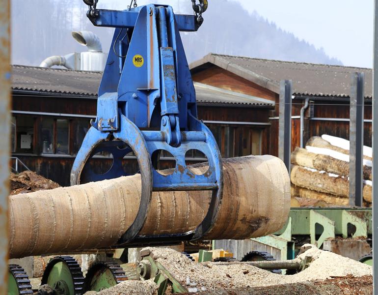 Wood industry - Sectors